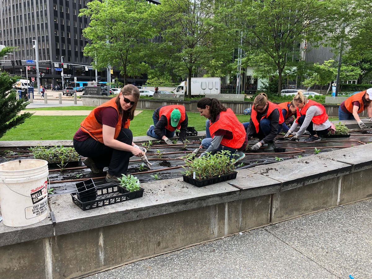 people planting flowers in the city